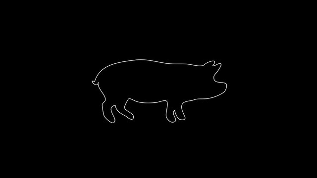 white linear pig silhouette. the picture appears and disappears on a black background.