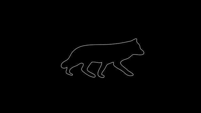 white linear wolf silhouette. the picture appears and disappears on a black background.