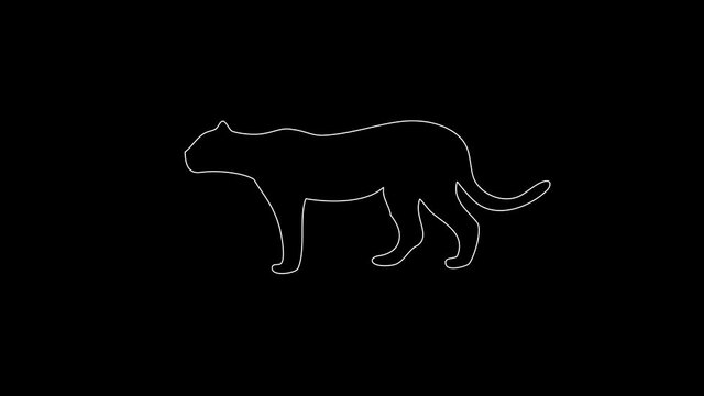 white linear leopard silhouette. the picture appears and disappears on a black background.