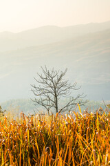 Beautiful mountain landscape with sunrise morning and copy space. Nature background for abstract...