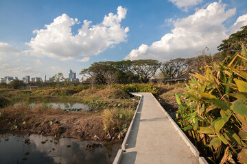 Benjakitti Forest Park, is new landmark and public park in downtown of Bangkok, Thailand