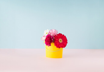 A yellow plastic paint bucket full of red, pink and white blooming flowers on a pink and blue background. Minimal concept.