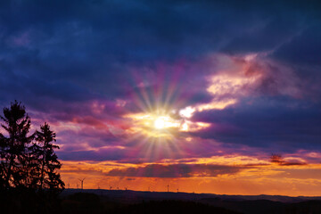 Obraz premium Sunset and silhouette of tree on colorful night sky.