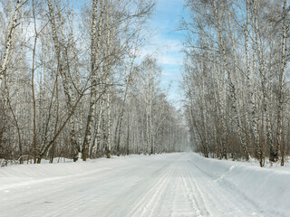 a road in a winter frosty forest of birch trees.Blue sky and white snow