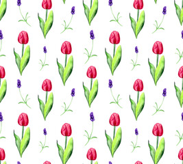 Seamless pattern with wildflowers: lavender and tulip on a white background. Watercolor background for textiles, wallpaper, packaging and bed linen.