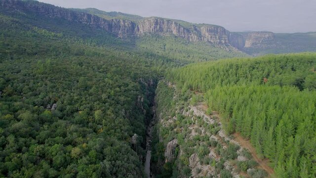 Pine forest and steep cliffs. Mountain landscape in Turkey canyon Tazy. Amazing aerial view  video shooting from a drone.