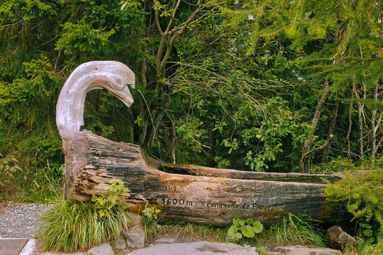 Water basin made of hollowed tree trunk and a fountain in the shape of a bird's head in the alpine forests near Servoz, French Alps, department of Haute-Savoie.