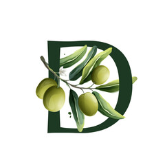 D letter logo in watercolor style with olive branches.