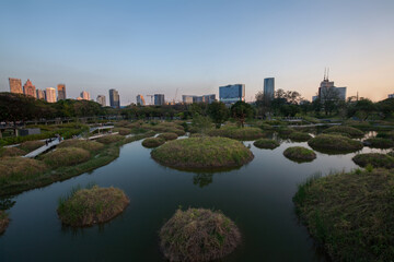 Obraz premium Benjakitti Forest Park, is new landmark and public park in downtown of Bangkok, Thailand
