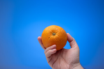 Ripe unpeeled orange fruit held in hand by Caucasian male. Close up studio shot, isolated on blue background