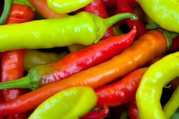 Ripe colorful hot peppers