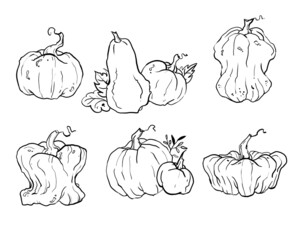 set of pumpkins