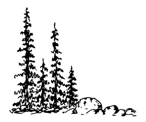 Simple hand-drawn vector ink sketch. Coniferous trees, spruces, stones, forest. Wildlife, landscape. For prints, postcards. Tourism and travel, camping.