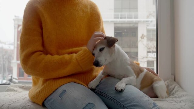 Dog and woman owner relaxing sitting on windowsill. Petting and cuddling love and trust moment. Enjoying togetherness video footage. winter snowing outside video footage. Cozy and warm home atmosphere