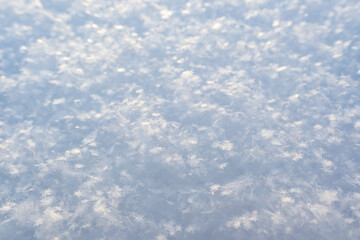 Beautiful crystals of snowflakes glow in the rays of the sun, on fluffy snow, on a frosty day. Copy space. Background. 