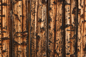 Durable surface charred wood boards texture seen in Alps