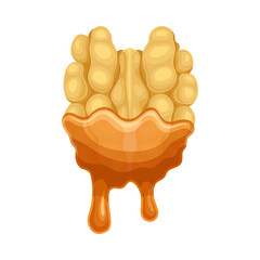 Walnut with liquid melted chocolate. Nutritious natural sweet dessert vector illustration