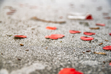Snowflakes and red leaves on the ice （氷上の粉雪と紅葉）