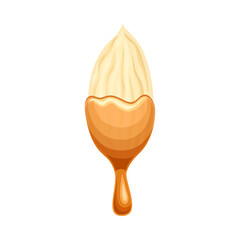 Peeled almond nut in liquid caramel. Nutritious natural sweet dessert vector illustration