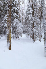 Winter in the White Mountains, New Hampshire