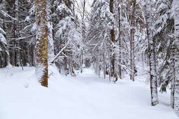 Winter in the White Mountains, New Hampshire