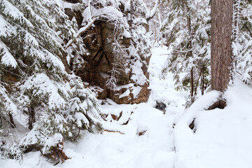 Fototapeta na wymiar Winter in the White Mountains, New Hampshire