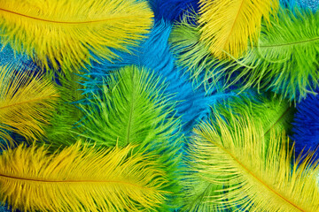 Brazilian background from feathers in the Brazilian ethnic color. Rio carnival, mardi gras background - obrazy, fototapety, plakaty