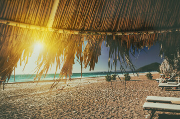 Cozy sun loungers and palm parasols on a beautiful beach.
