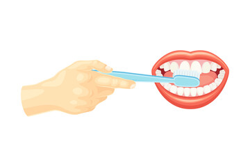 Hand cleaning teeth with toothbrush. Oral hygiene, dentistry vector illustration