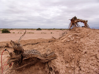 Close-up of broken and grunge texture of the arid floor