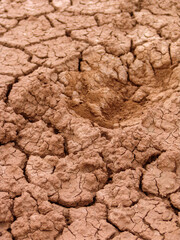 Close-up of broken and grunge texture of the arid floor