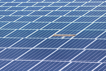 Focus on front a arranged solar photovoltaic panels. Renewable energy