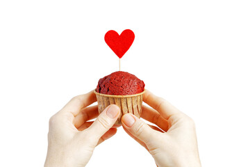 Closeup hands holding a red velvet cupcake decorated with red felt heart isolated on white background.