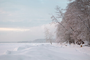 Obraz premium Beautiful winter landscape with field of white snow and tree branches in hoarfrost at sunset frosty day. High quality photo