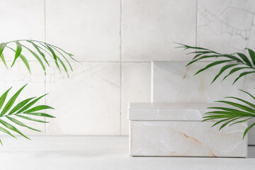 Ceramic tiles background with green palm leaves for product, branding and packaging presentation. Marble box podium and green leaf on white color background