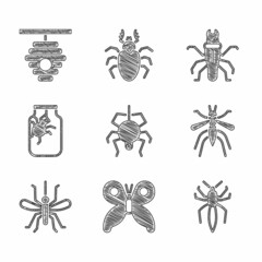 Set Spider, Butterfly, Mosquito, in jar, Termite and Hive for bees icon. Vector