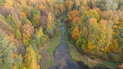 Obraz premium autumn forest with lake