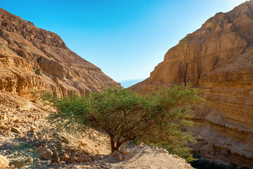 View of Desert Cliffs at Ein Gedi, Judean Desert, Israel.