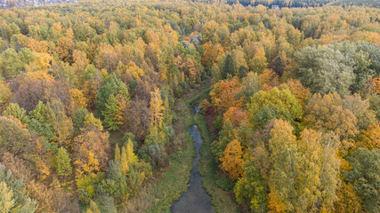 Fototapeta premium autumn forest with lake