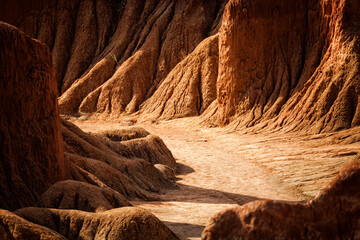 Desert
