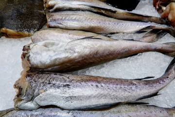 fresh fish on the market