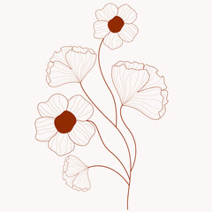 illustration of poppy flower