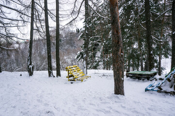 A place of rest in the winter forest of the Central Russian upland