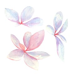 Fototapeta na wymiar Watercolor barberry leaves for invitation, wedding card, birthday card.