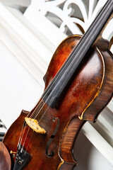 Old violin close-up photo on the white piano background