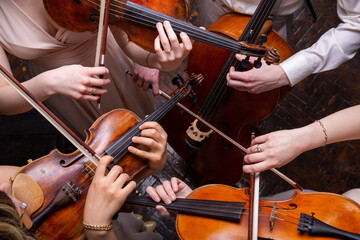 String quartet (violins, cello, alt (viola), view from above