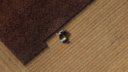 Harvester pours corn after harvesting on field into back of truck. Aerial Drone View Flight. Harvester Machines Working in Cornfield. Top view. Harvesting, Agrarian and Agricultural Works, Farming