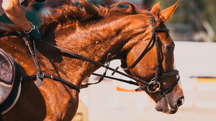 competitor and his horse jumping at an equestrian contest