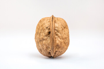 Close-up image of a walnut. Nutshell, hard shell of a walnut.