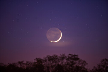 Fototapeta na wymiar Tree silhouettes, stars, planets and Moon on evening sky.